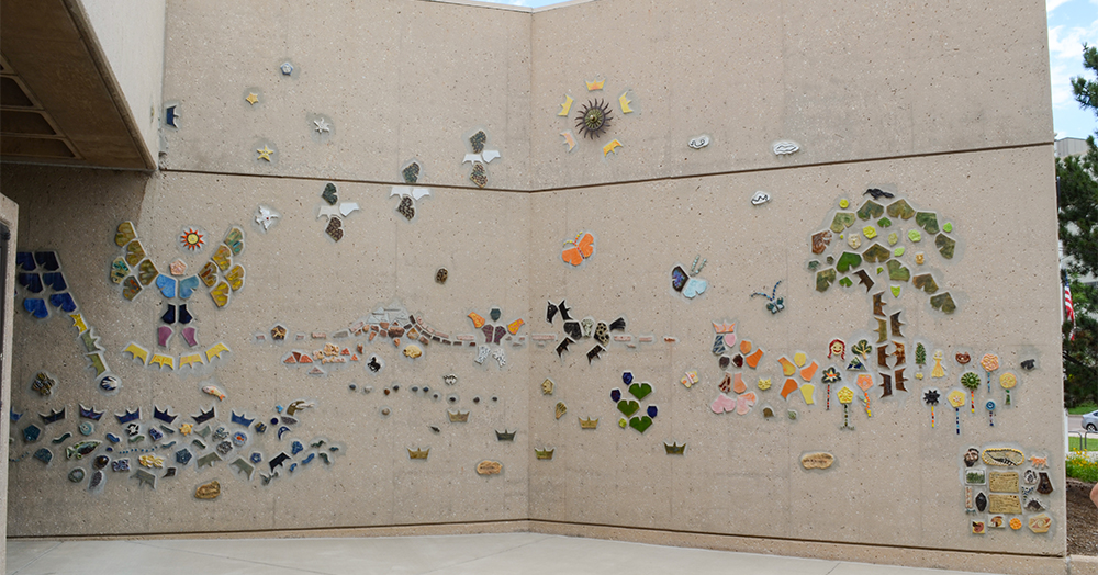 Acercamiento full image Acercamiento full image